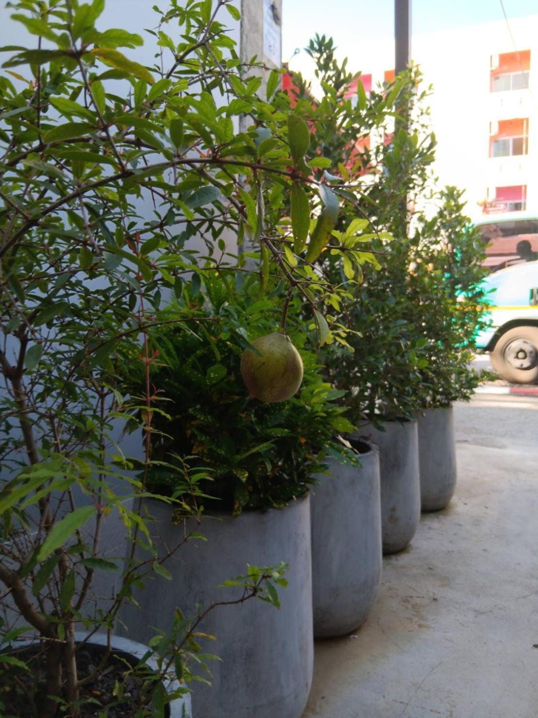 The Brown Boutique Patong Hotel Exterior photo